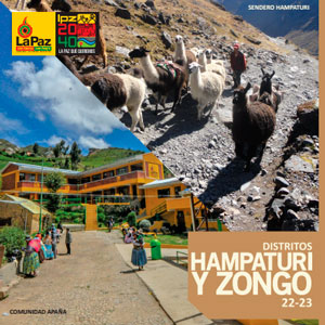 Hampaturi y Zongo PDF